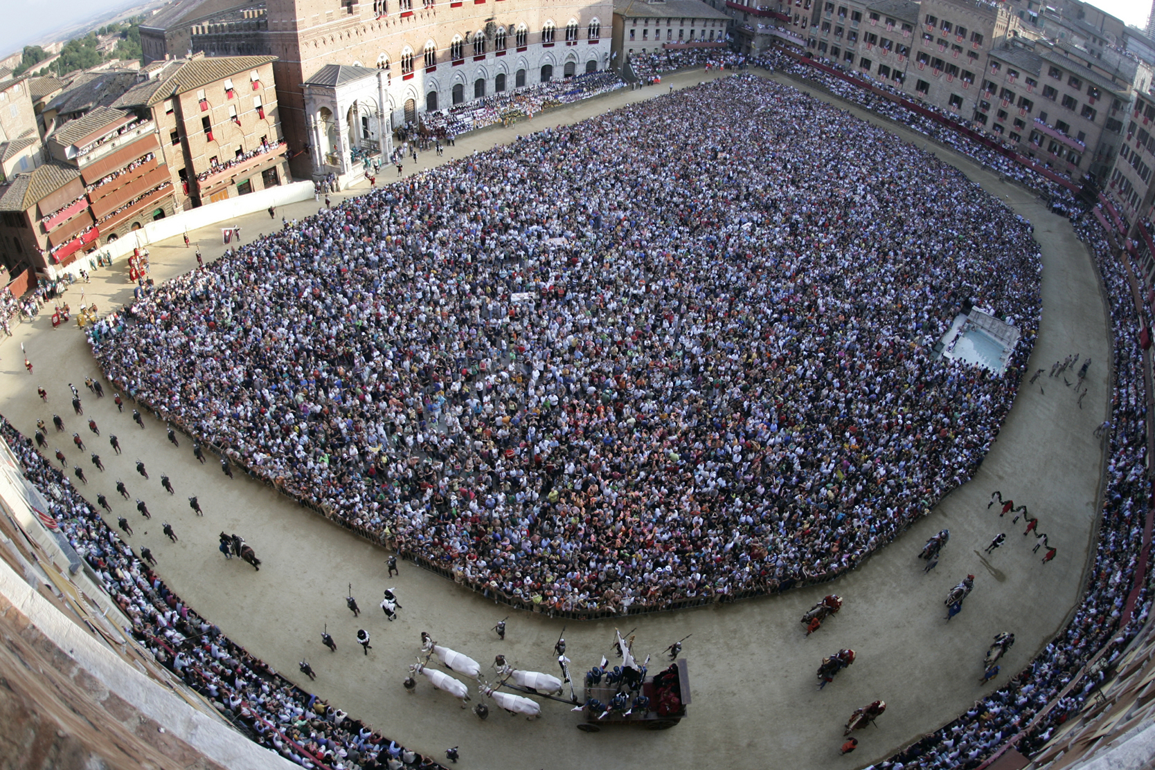 Palio - Gallery Image #242